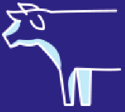 Ícone vaca azul