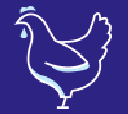Ícone galinha azul