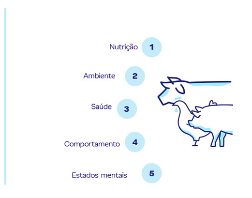 desenho de um boi, um porco e uma galinha com o texto: 1 Nutrição, 2 Ambiente, 3 Saúde, 4 Comportamento e 5 Estados mentais