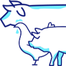 ícone vaca frango e porco azul